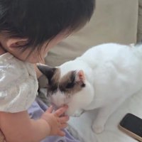 赤ちゃんと猫