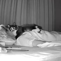 暗闇(こちらを向くまめちゃん)