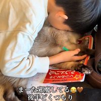 猫を抱きしめる子ども