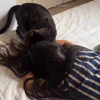 倒れる真似をしている女の子と猫