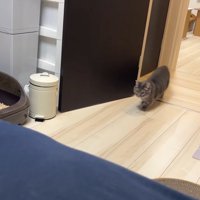 入室