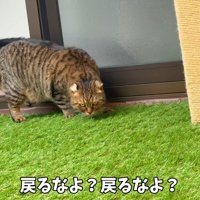 戻るなよ？戻るなよ？