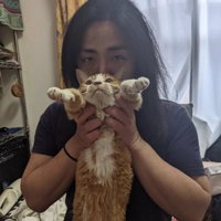 吉田さんと猫