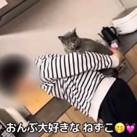 おんぶされている猫