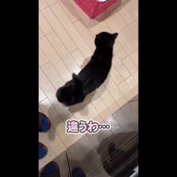 違うわ…
