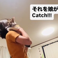 飛んできた三毛猫をキャッチする娘さん