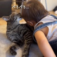 ぺろぺろ…