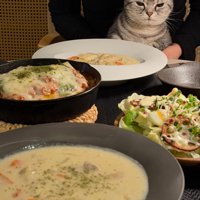 テーブルのごはんを見る猫