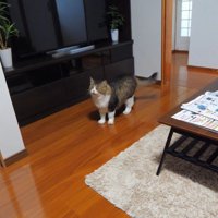 目を閉じて鳴く姿