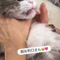 飲み薬を持っている人と抱かれている猫