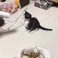 目を瞑っておすわり