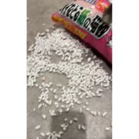 猫砂の袋に乗っている猫