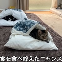 テロップ「朝食を～」