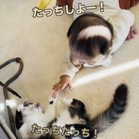 手と前足でタッチする赤ちゃんと子猫