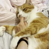 指チュパする大人クラくん