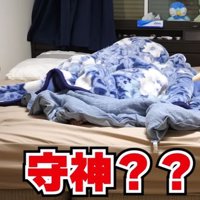 寝室に集まる猫