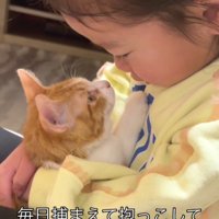 子猫を抱く女の子