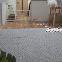 領収書をパラパラ落とす