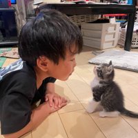 子猫に話しかける2