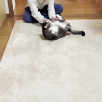 奥で転がされ中