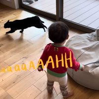 テロップ「aaaaaAAAHH」