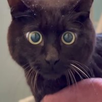 目を丸くする天くん