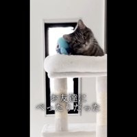 お友達にべったり
