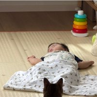 寝ている赤ちゃんの近くにいる猫の耳
