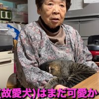 おばあちゃんと猫