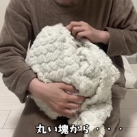 毛布に包まれるみにらくん