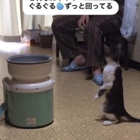 「ばあちゃん…」と書かれた写真