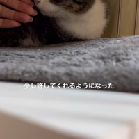 ケージの中に手を入れる