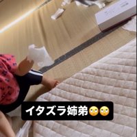 ティッシュを握る赤ちゃんと、飼い主から目を逸らす猫