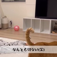 なんとも切ない