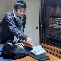 服の毛を取る飼い主と猫