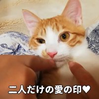 二人だけの愛の印