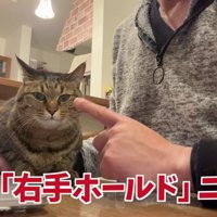 とーちゃんの右手に乗る牛太郎さん