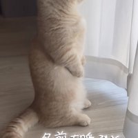 「名前を呼ぶと...」のテロップ写真