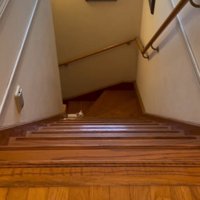 1階から顔を出す子猫