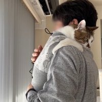 抱っこ中に外を見るパパさん