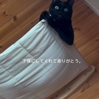 現在のシュリーくん