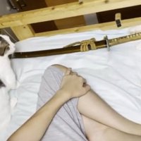 ベッドに寝転がっている猫と人間