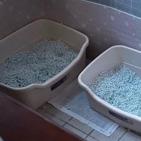 2つ並べられた猫用トイレ