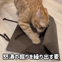 怒涛の掘り