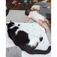 猫と赤ちゃん