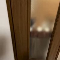 扉越しに見える猫の影