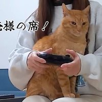 テロップ「俺様の席！」