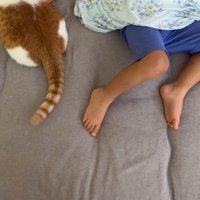 男の子の隣に座る猫