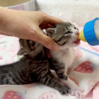 突撃中