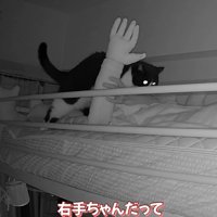 右手を上げる